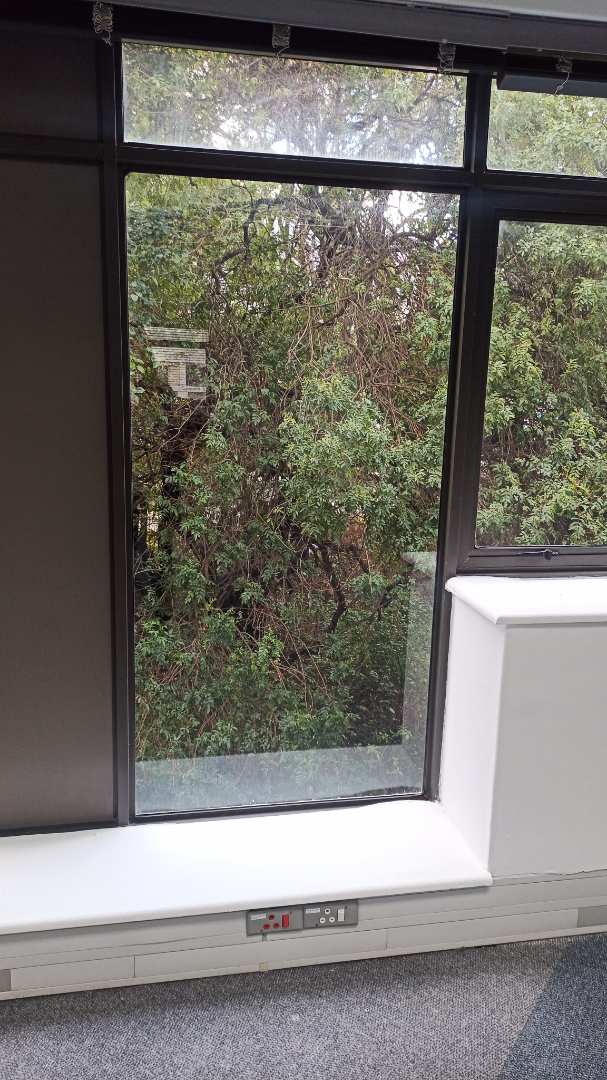 To Let commercial Property for Rent in Newlands Western Cape